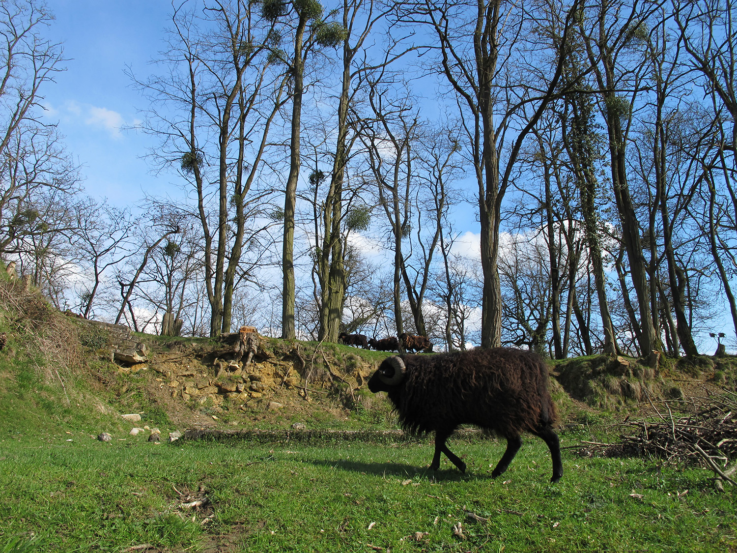 Fort de Cormeilles-en-Parisis © Cuesta