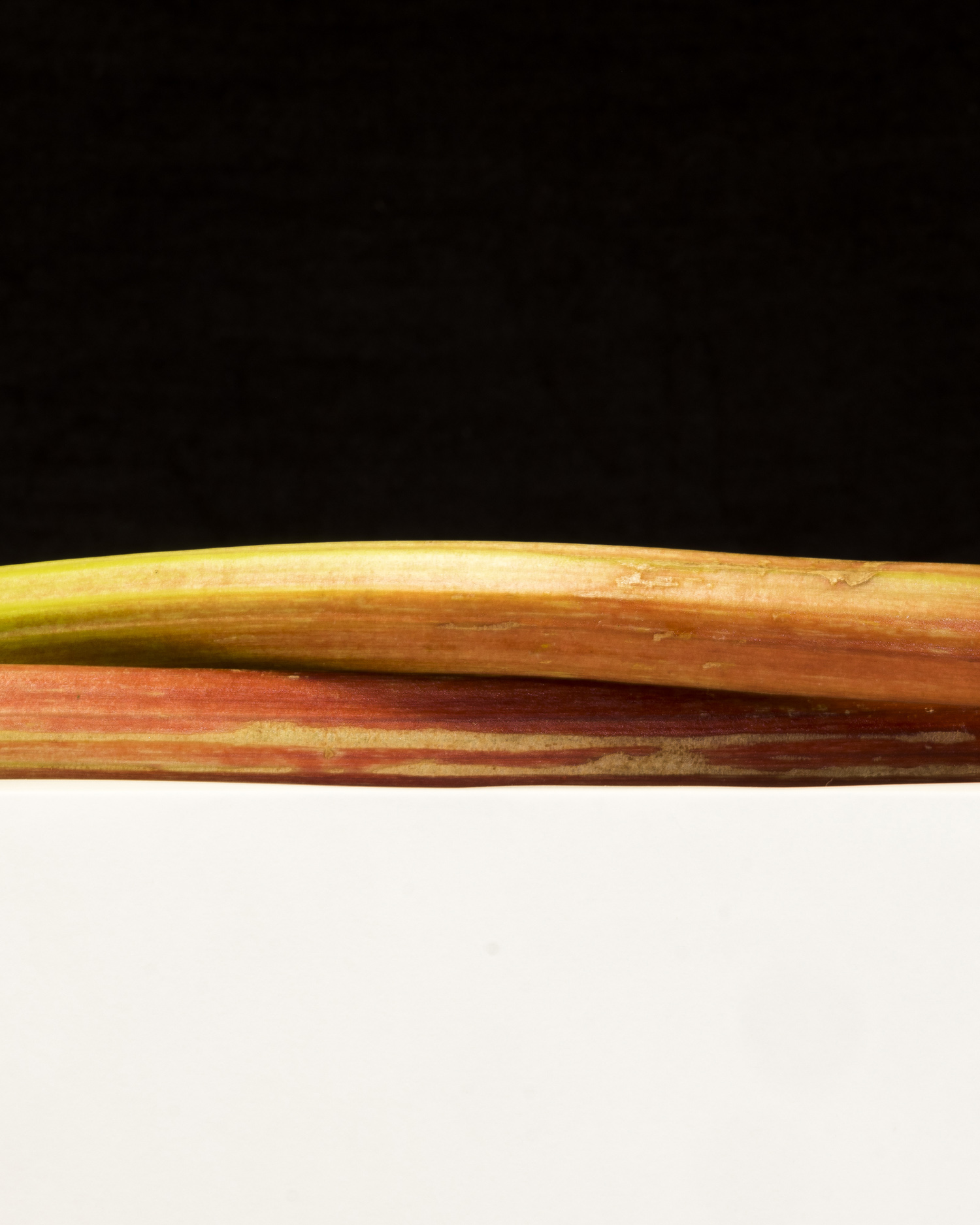 La rhubarbe d'Agathe © Sylvain Gouraud